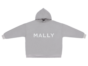 VASALA 1.0 Hoodie Gray